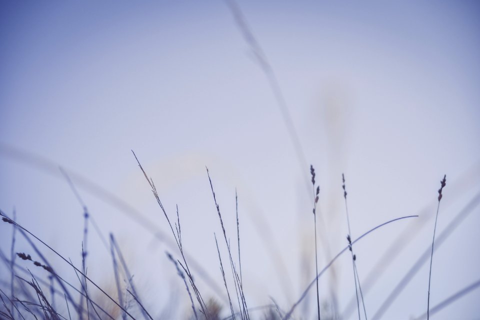 K ll, Lidk ping, Sweden