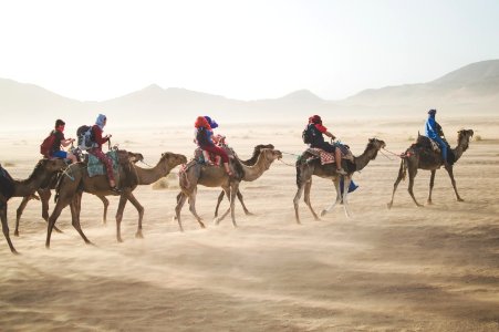 group of people riding camel on sand dune