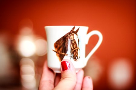 Coffee, Nail, Horse photo