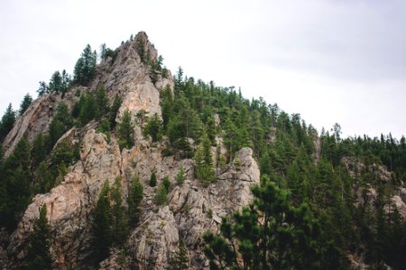 landscape photography of mountain and trees photo