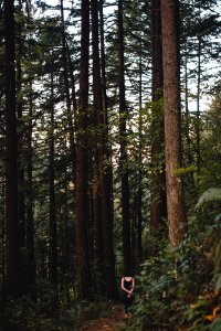 Columbia river gorge national scenic area, Cascade locks, United states photo