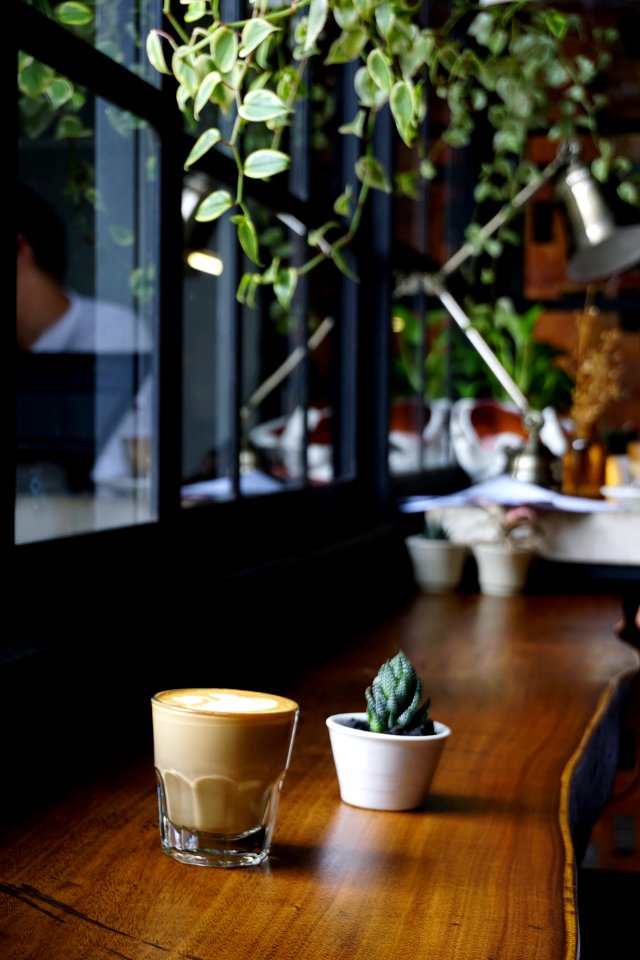 latte and cactus on brown wooden table
