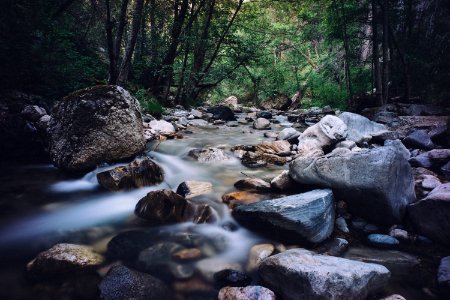 time lapse photography of river surrounded by trees photo