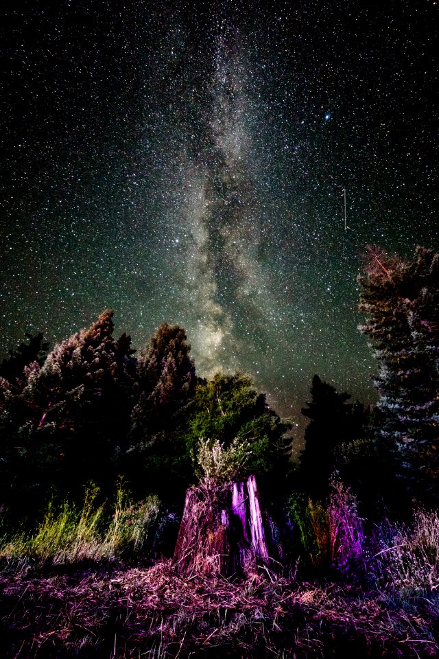 Myers flat, United states, Astrophotography