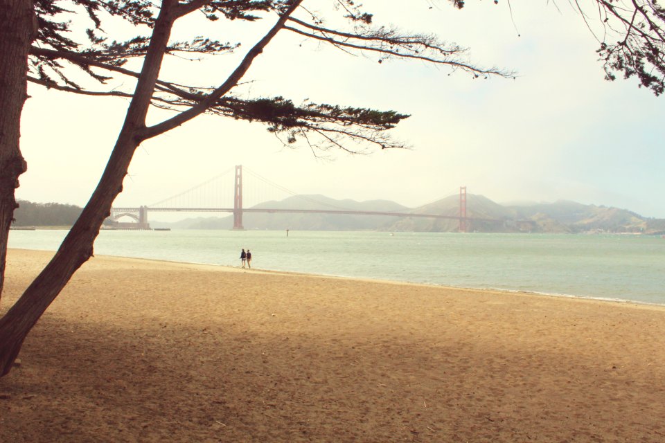 San francisco, United states, Sanfrancisco