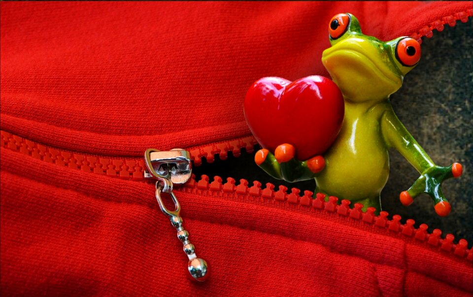 Love valentine's day heart