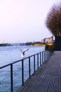 Urban, Onelegged, City
