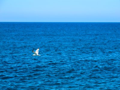 San felice circeo, Italy, Walking