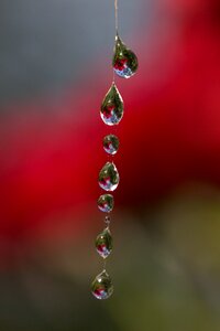 Place dew nature