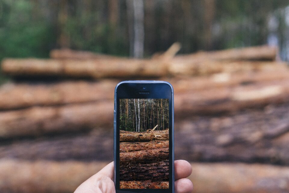 Nature smartphone taking photo