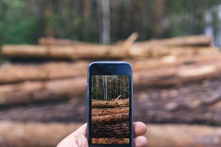 Nature smartphone taking photo