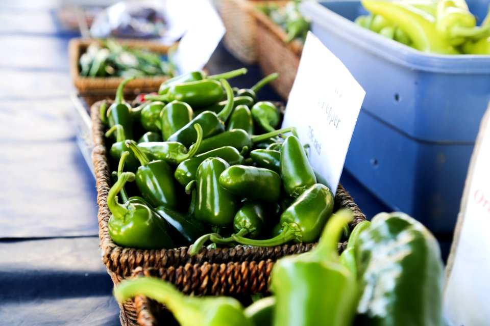 Saskatoon farmers market, Saskatoon, Canada