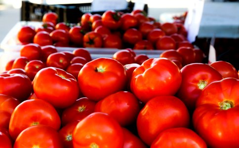 Saskatoon farmers market, Saskatoon, Canada