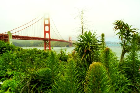 Golden gate bridge, San francisco, United states
