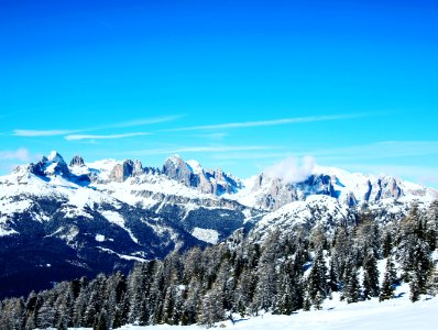 San pellegrino pass, Italy, Trees