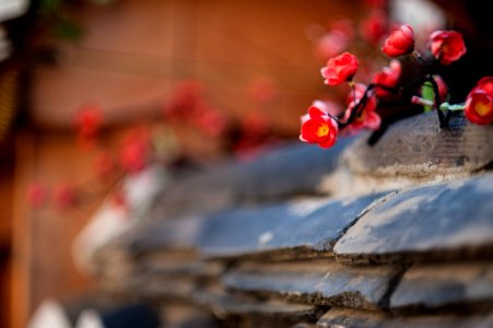 Bukchon hanok village, Seoul, South korea photo