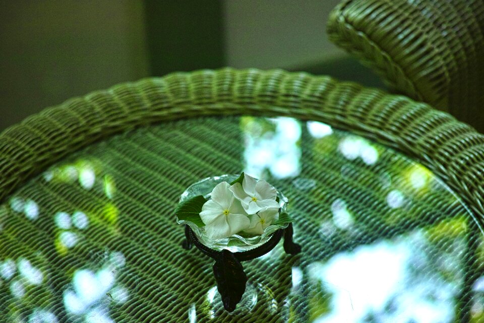 Table rattan furniture reflection