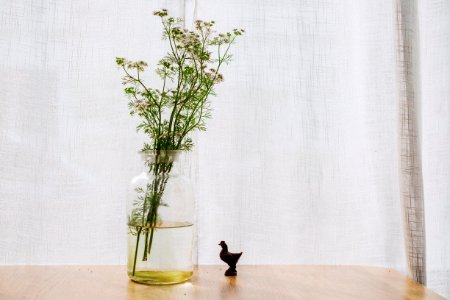 green plant on clear glass vase on brown wooden surface photo