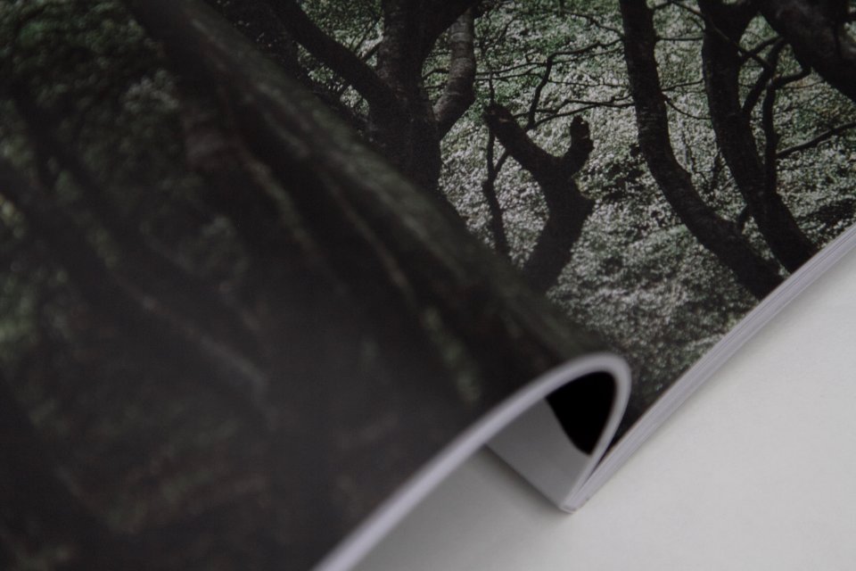 Print, Trees, Journal