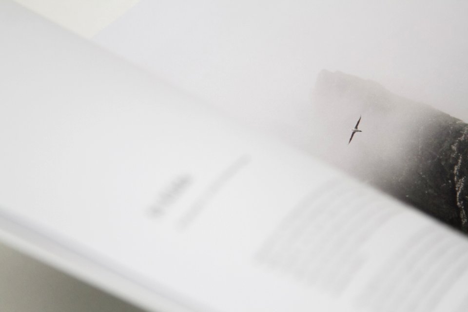 Journal, Magazine, Publishing