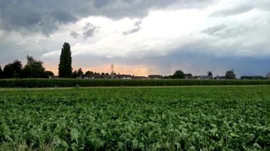 Wilhelmtellstrae 9, 47495 rheinberg, Germany