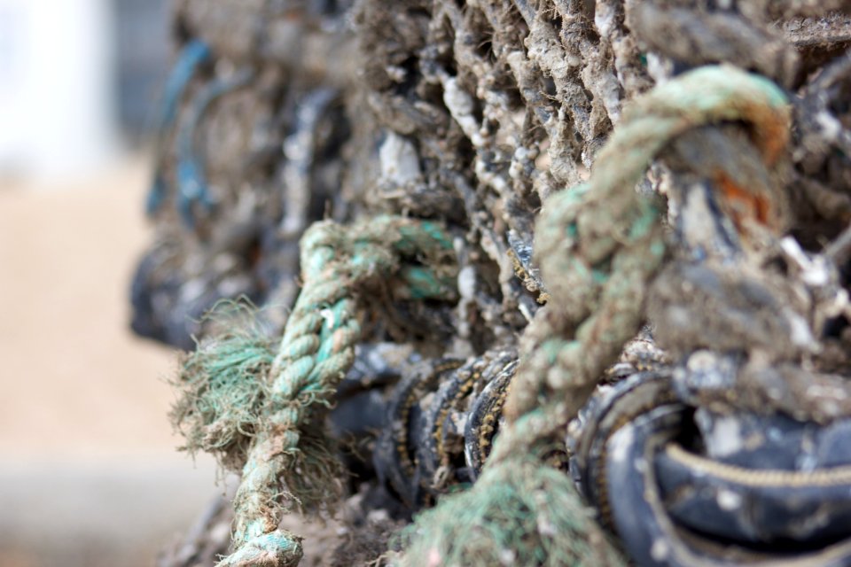 West bay, United kingdom, Fishing