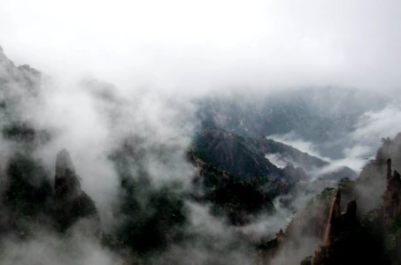 mountains covered with fog photo