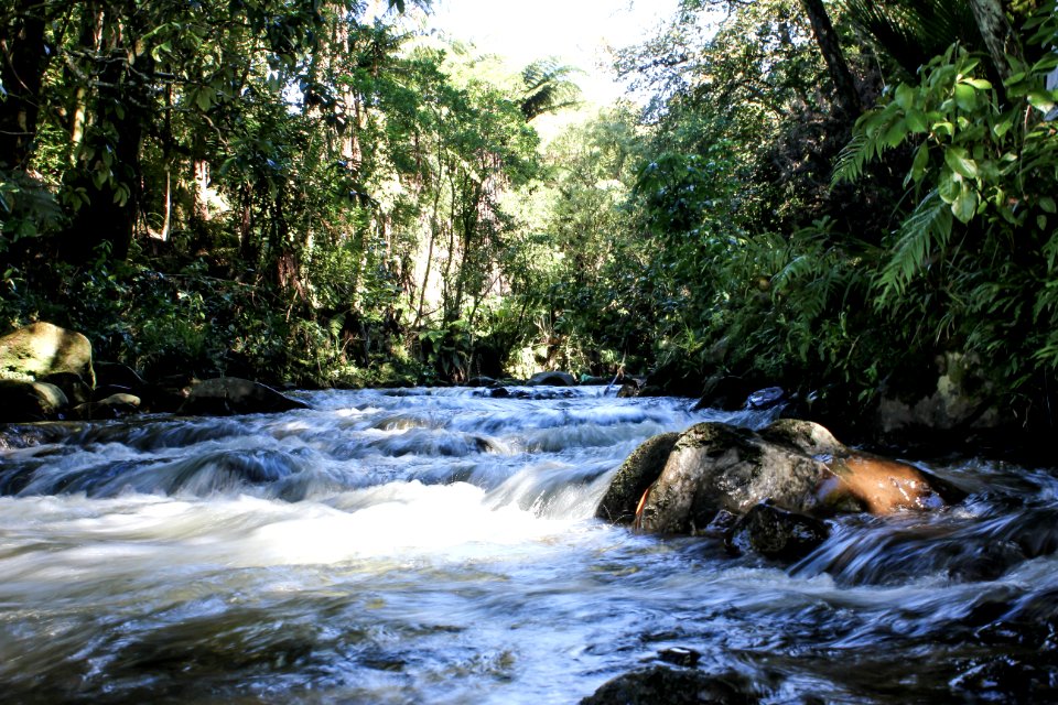 Taranaki, New zeal, Stream