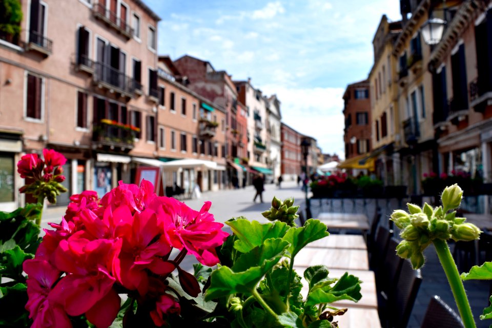 Venice, Italy, Blurry photo