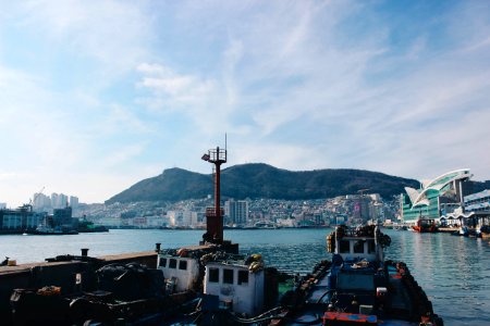 Jagalchi market, Busan, South korea