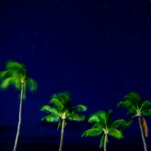 Lahaina, United states, Hawaii