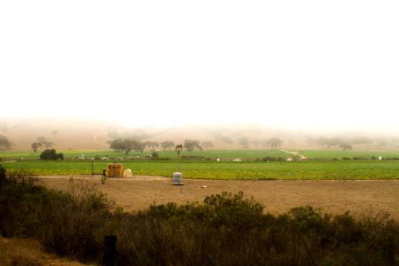 Fog, Sky, Grass photo