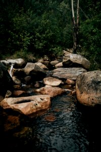 Bimberi wilderness, Tharwa, Australia