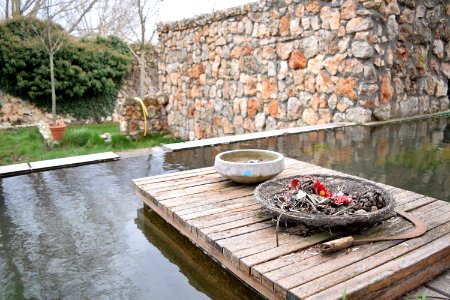 Trtoles de esgueva, Spain, Alone