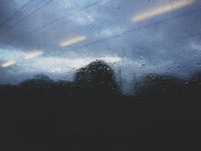 On train, Trees, Glass photo