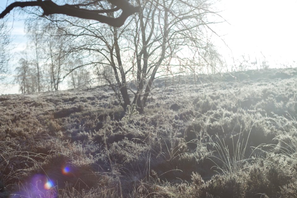 Cannock, Engl, United kingdom