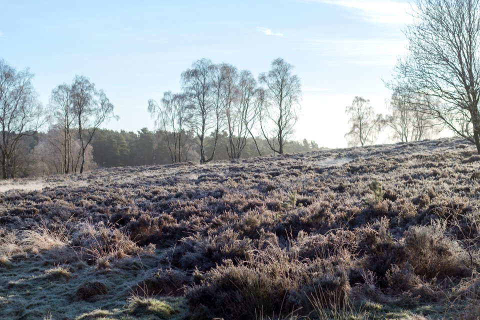 Cannock, Engl, United kingdom