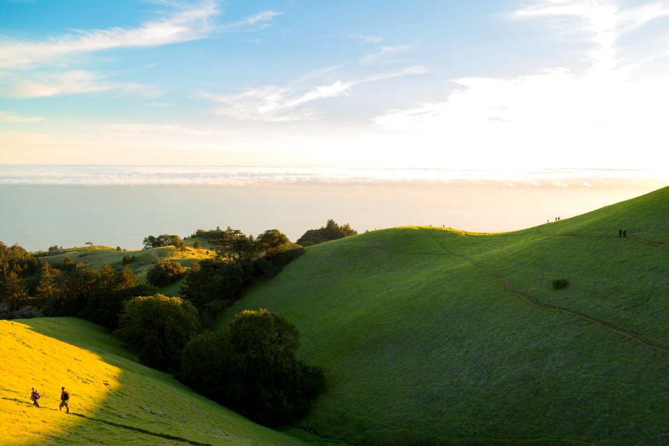 Mount tamalpais, United states, Scape