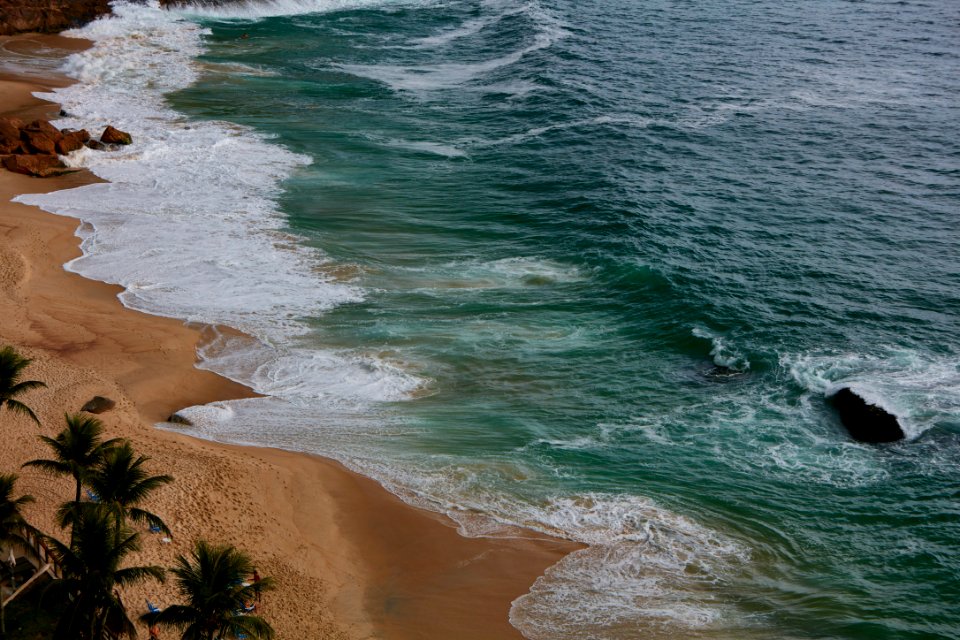 ocean waves near palm trees