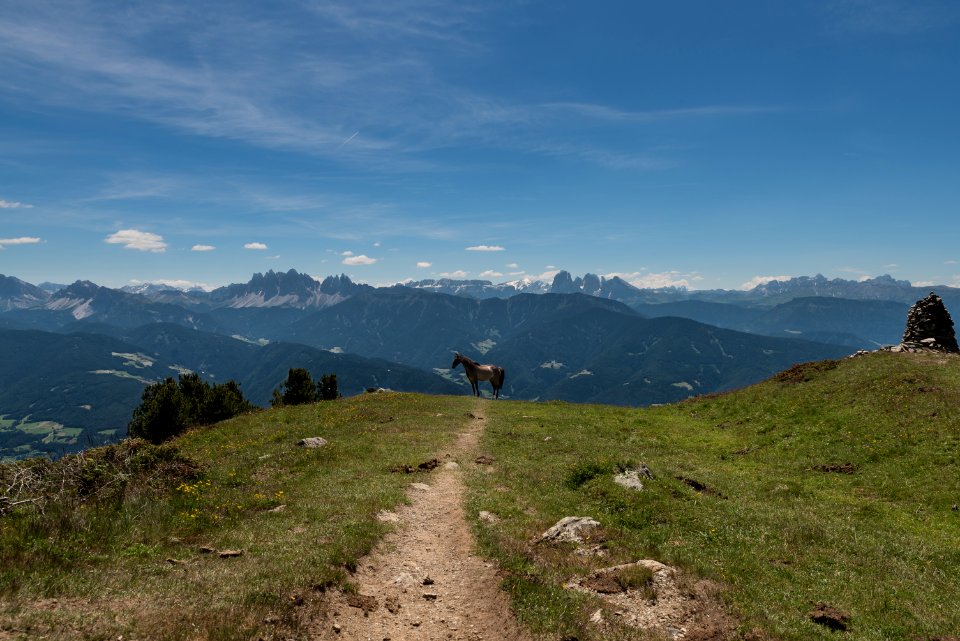 Mountains