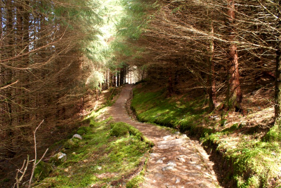 West highl, Way, Fort william