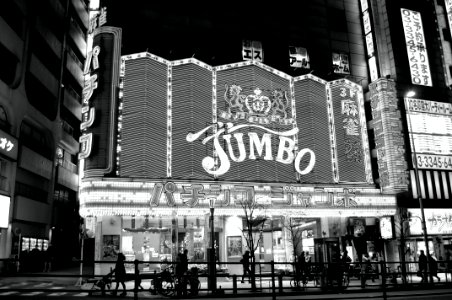 Japan, Grayscale, Casino photo
