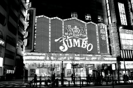 Japan, Grayscale, Casino