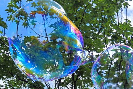 Iridescent giant bubbles summer photo