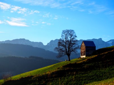 brown wooden house