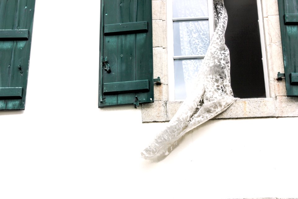 Window