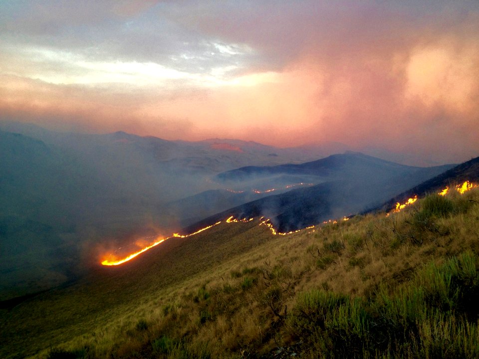 Tuscarora, United states, Bushfire