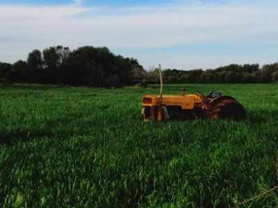 yellow farm tractor on green grassfield photo