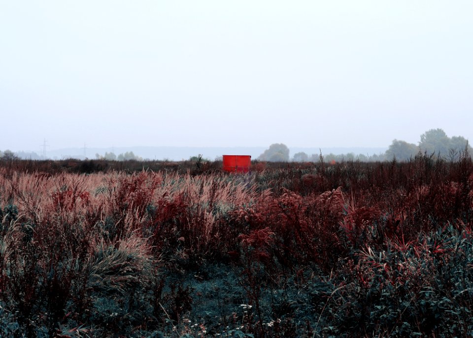 Irpin, Ukraine, Fog