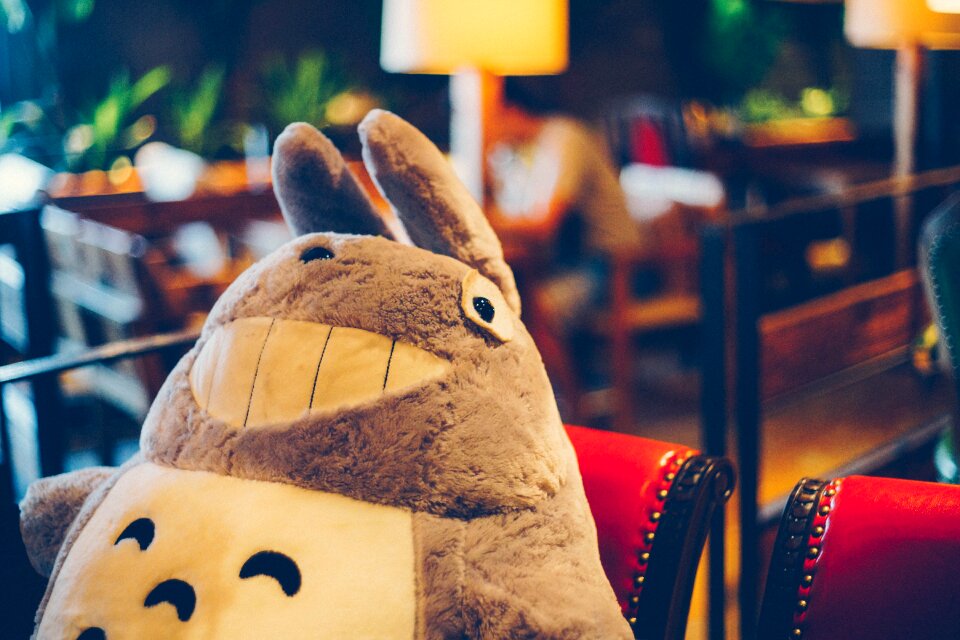 Toys plush toys chinchillas